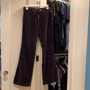 Lush velveteen pants